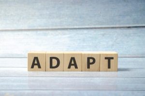 adapt