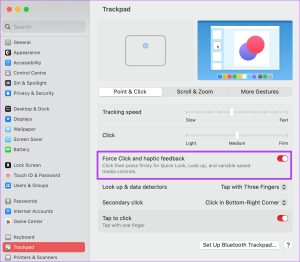 Fix Trackpad Gestures Not Working on Mac