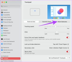 Fix Trackpad Gestures Not Working on Mac