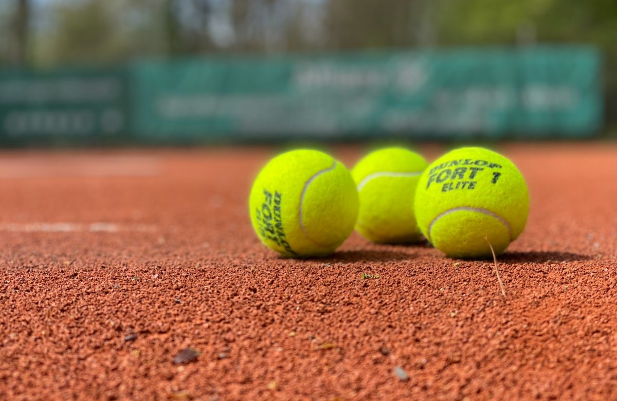 Aryna Sabalenka Wimbledon reign