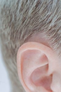 Ear
