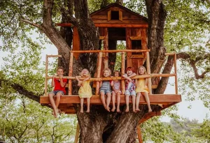 tree house