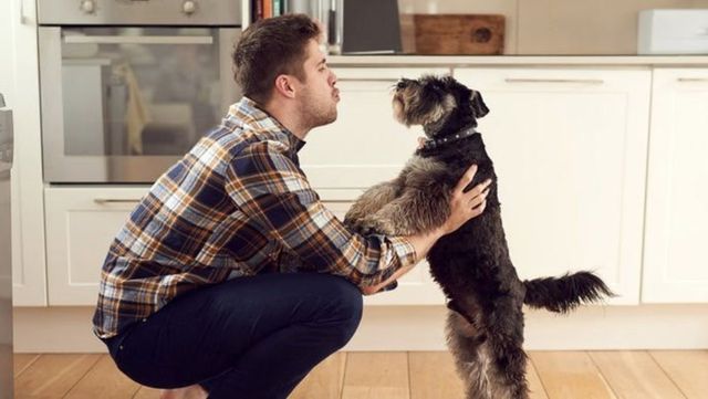 make Home a pup paradise