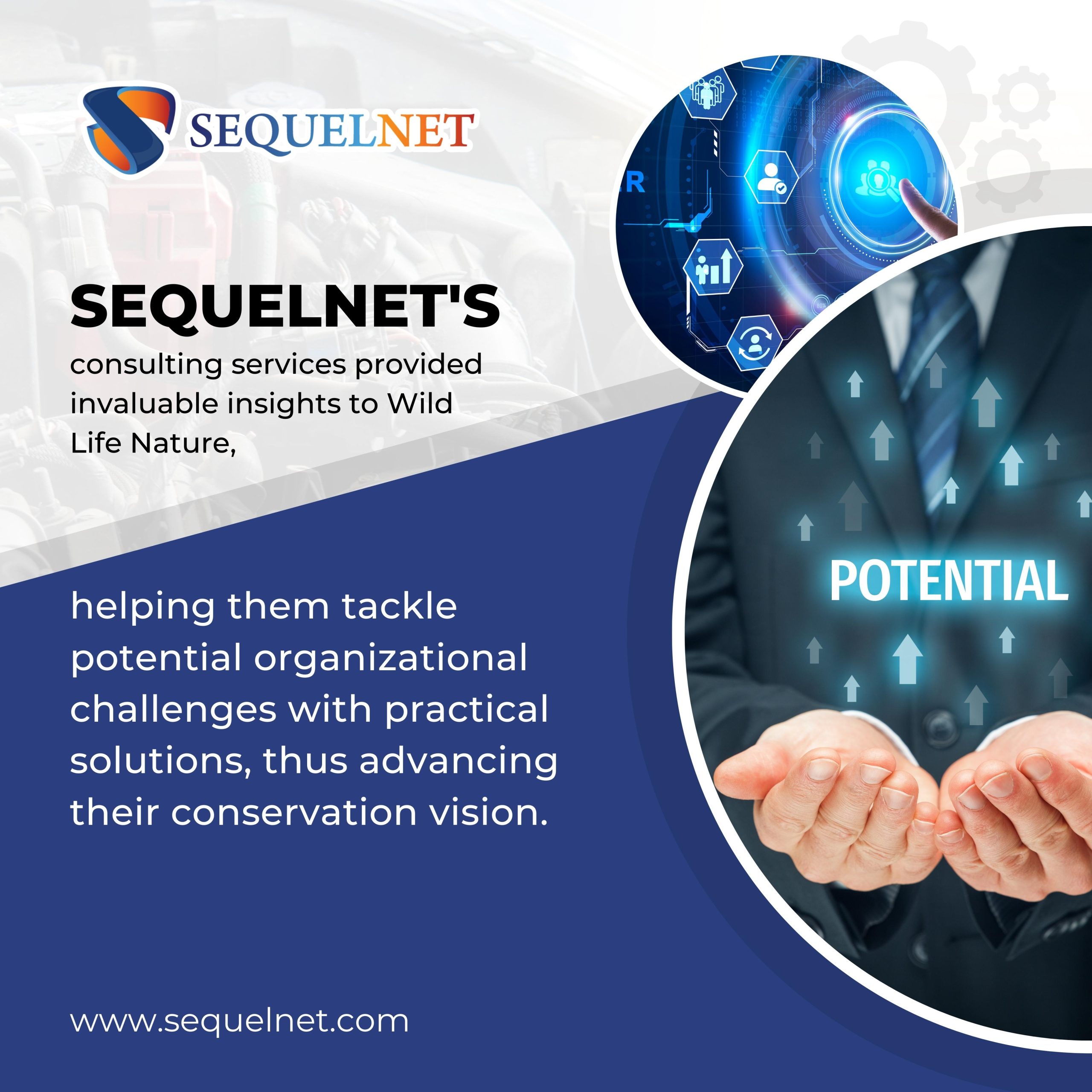 SequelNet Consulting Services