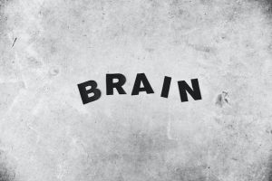 brain