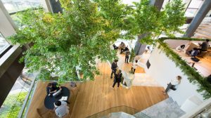 Mixed Office Real Estate