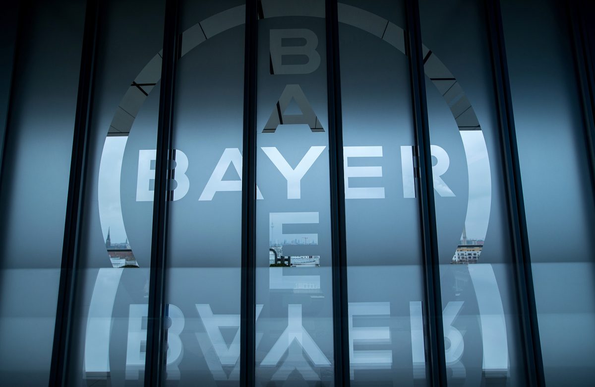 Bayer Shares Plunge