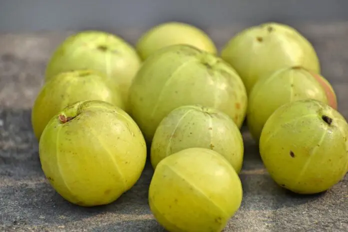 Amla Magic