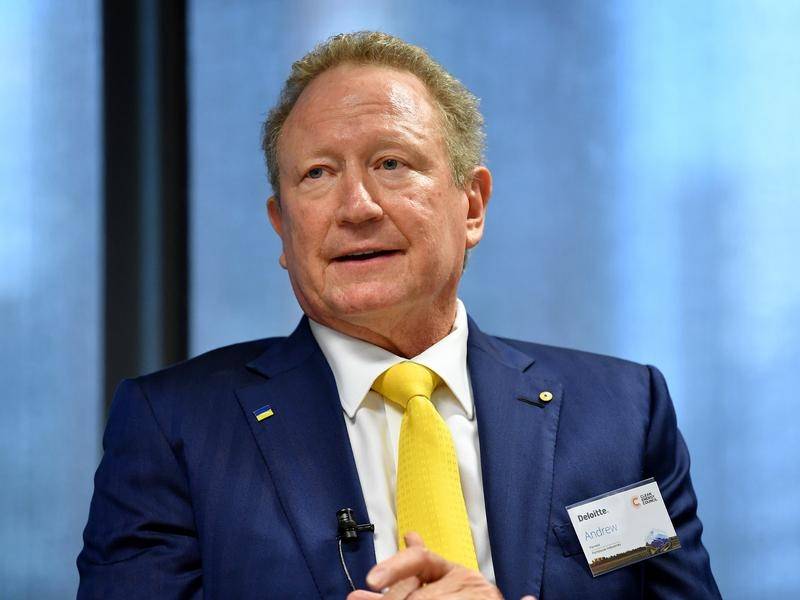 Fortescue Shareholder Revolt